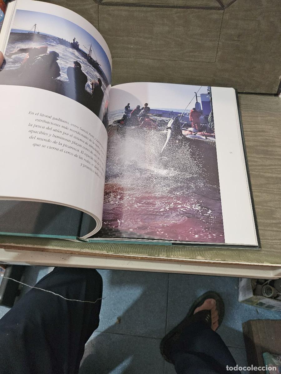 Libros de segunda mano: libro de cadiz sierra de Luz - Foto 12