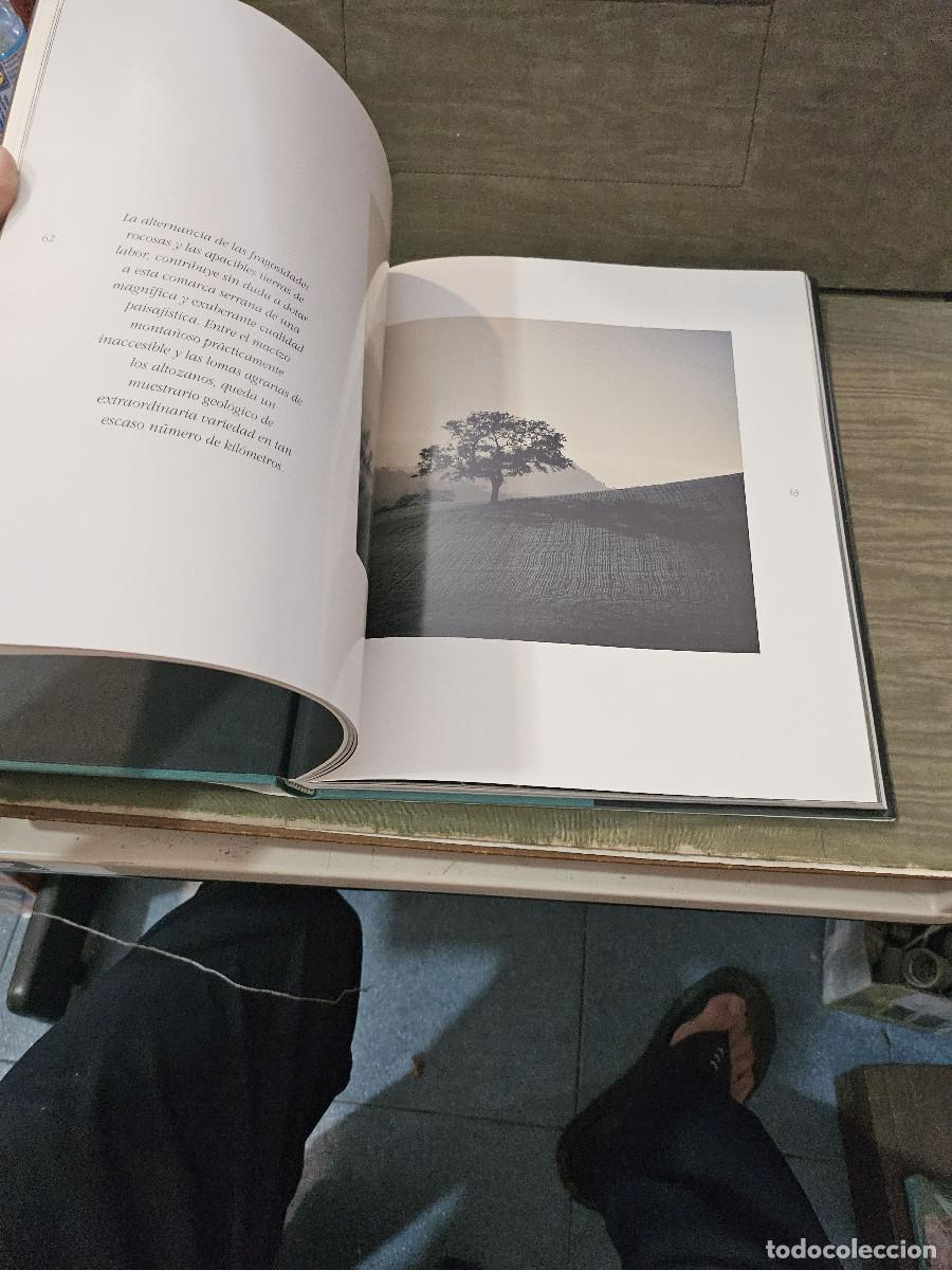 Libros de segunda mano: libro de cadiz sierra de Luz - Foto 14