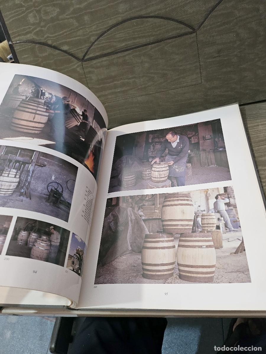 Libros de segunda mano: libro de cadiz sierra de Luz - Foto 16