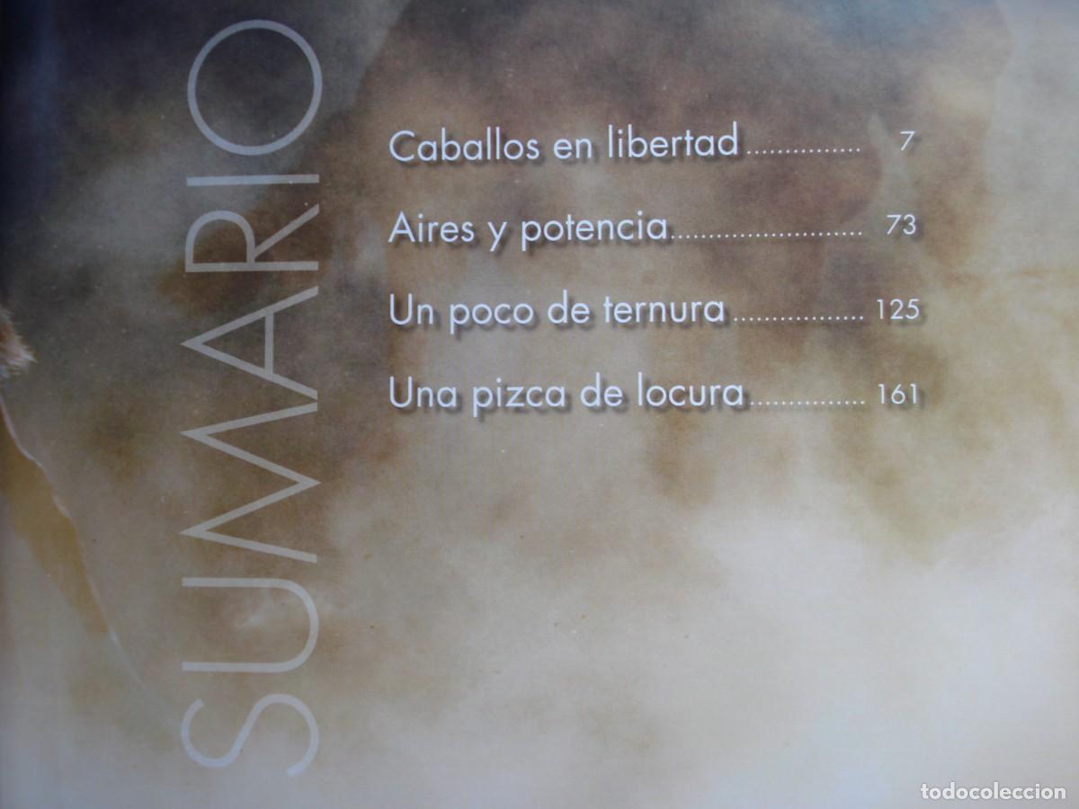 Libros de segunda mano: CABALLOS EN LIBERTAD. - Foto 2
