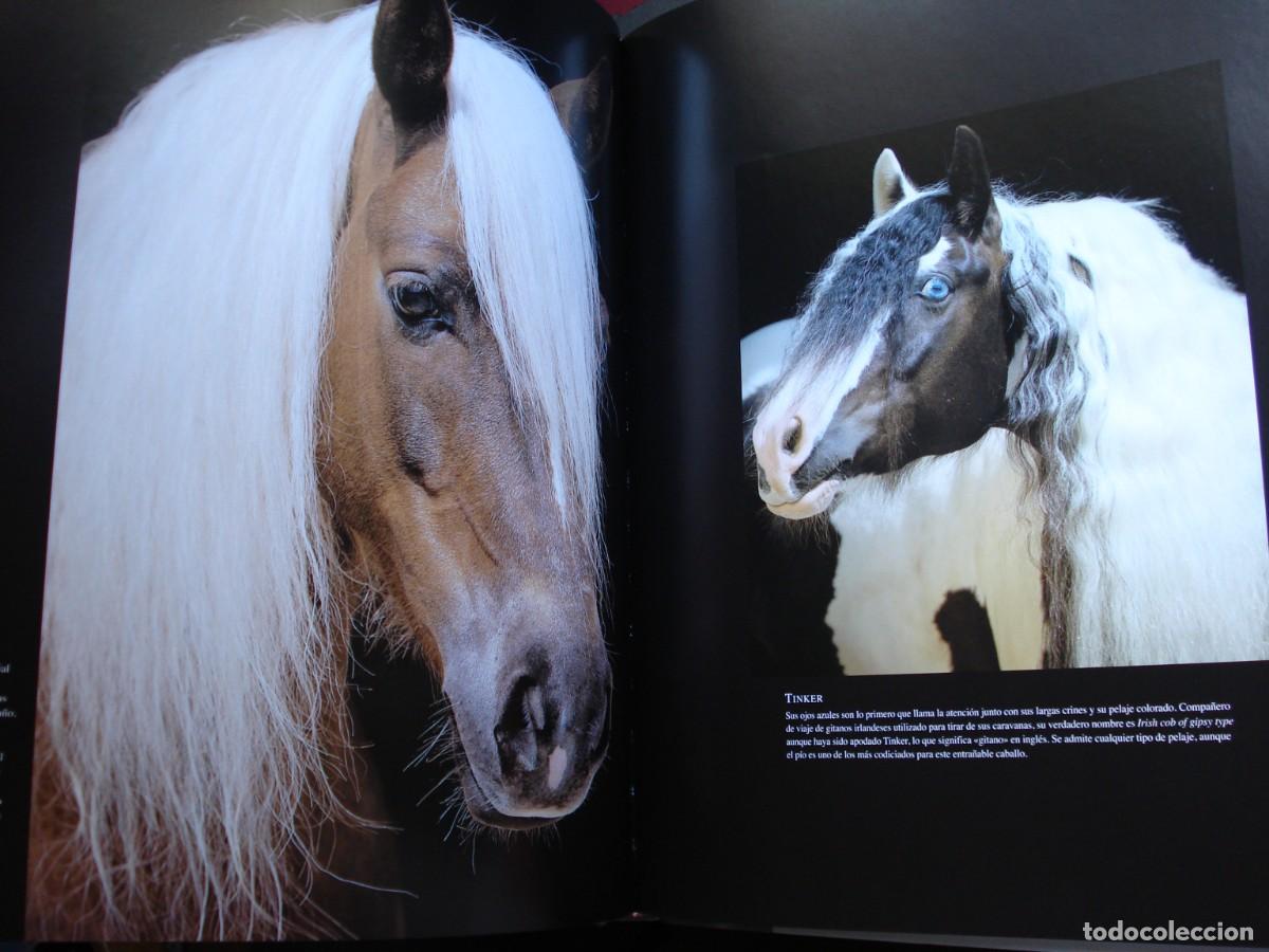 Libros de segunda mano: CABALLOS EN LIBERTAD. - Foto 6