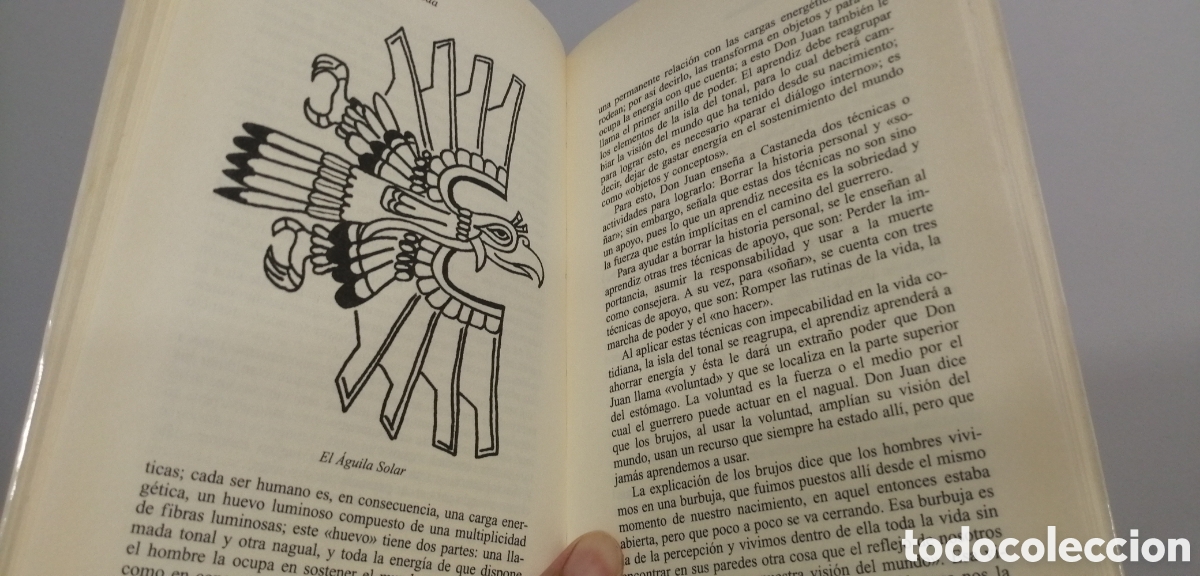 Libros de segunda mano: Para leer a Carlos Castaneda Guillermo Mar&iacute;n Ediciones Indigo - Foto 12