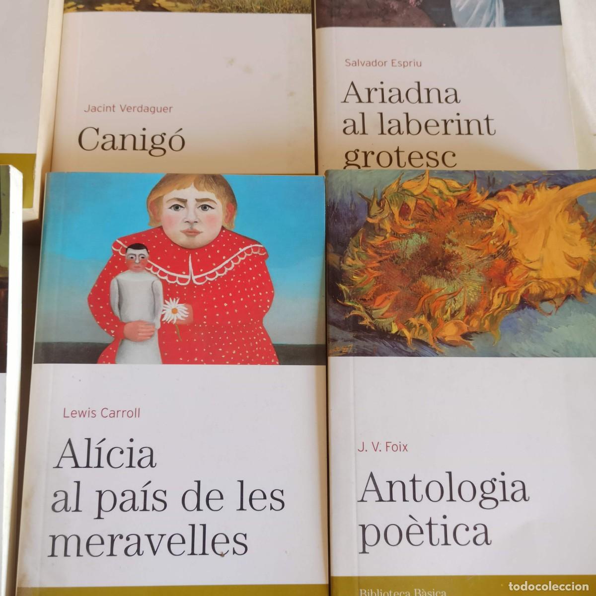 Libros de segunda mano: Lote libros Biblioteca b&aacute;sica el peri&oacute;dico (en catalan) - Foto 3