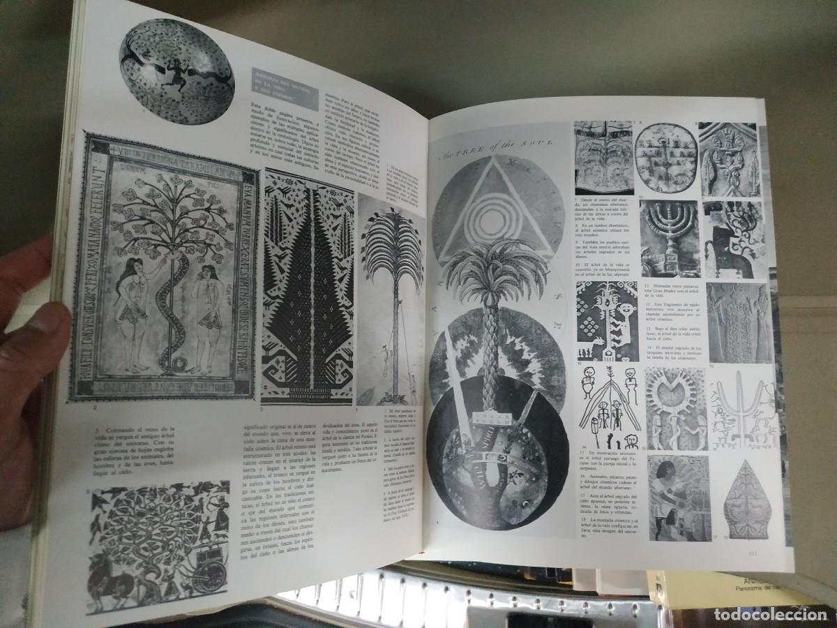 Libros de segunda mano: Mitos - Alexander Eliot - Foto 6