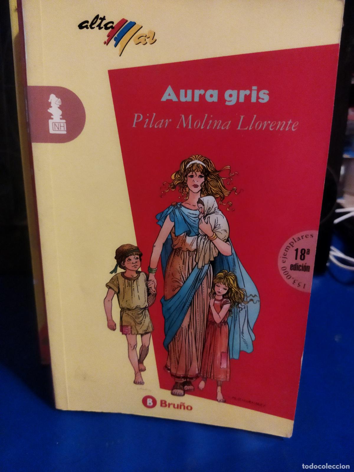 Libros de segunda mano: Aura Gris Pilar Molina Llorente - Foto 1