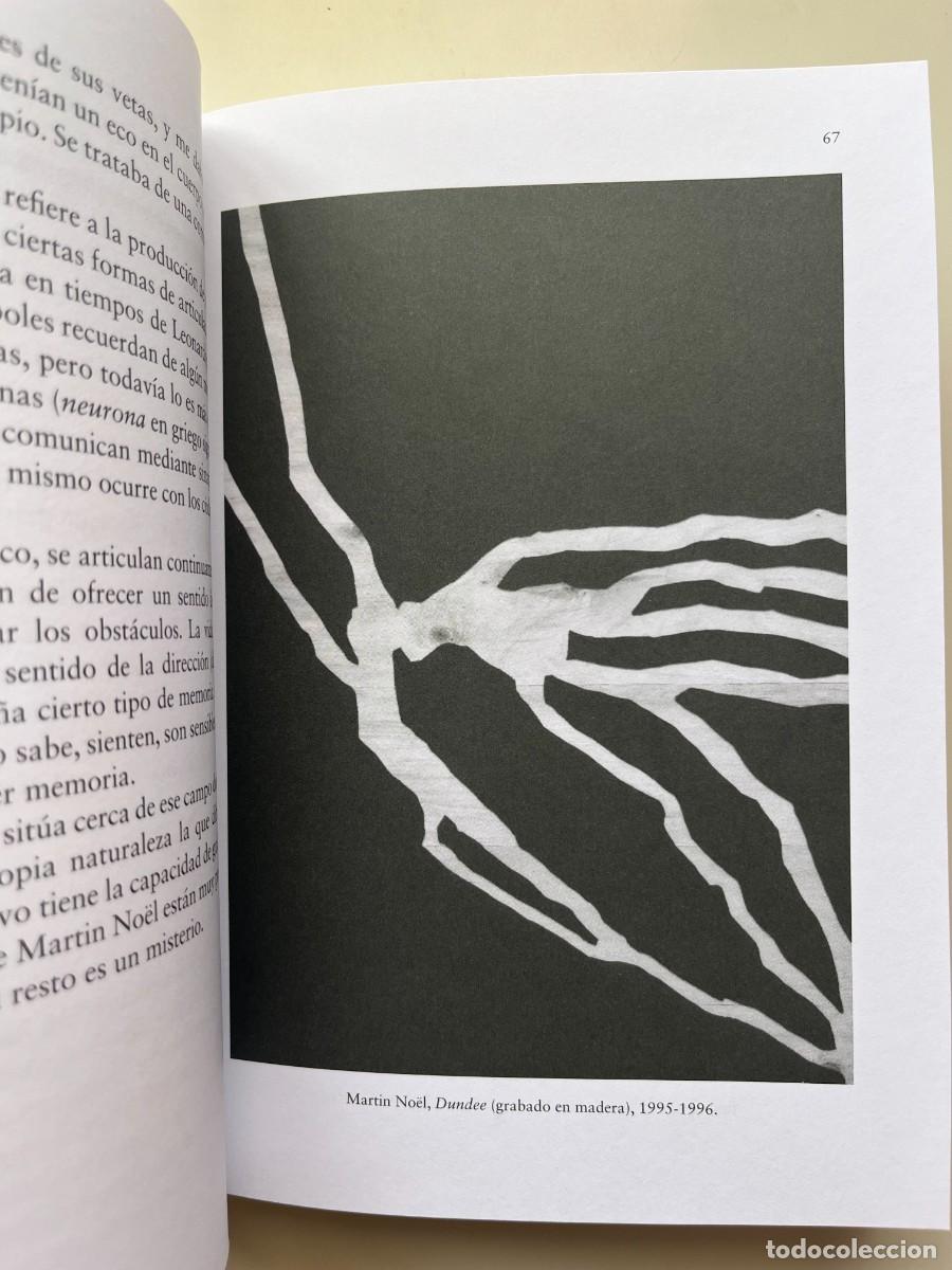 Libros de segunda mano: Sobre el dibujo | John Berger - Foto 4