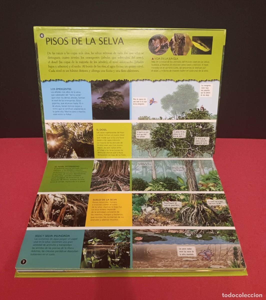 Libros de segunda mano: BONITO LIBRO PANORAMICO 3D CON DIORAMAS TITULO SELVAS - Foto 3