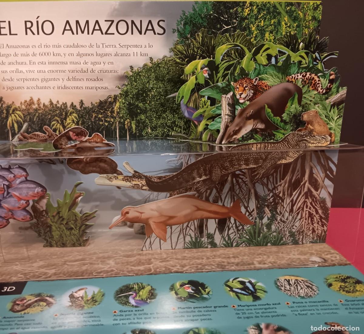 Libros de segunda mano: BONITO LIBRO PANORAMICO 3D CON DIORAMAS TITULO SELVAS - Foto 4