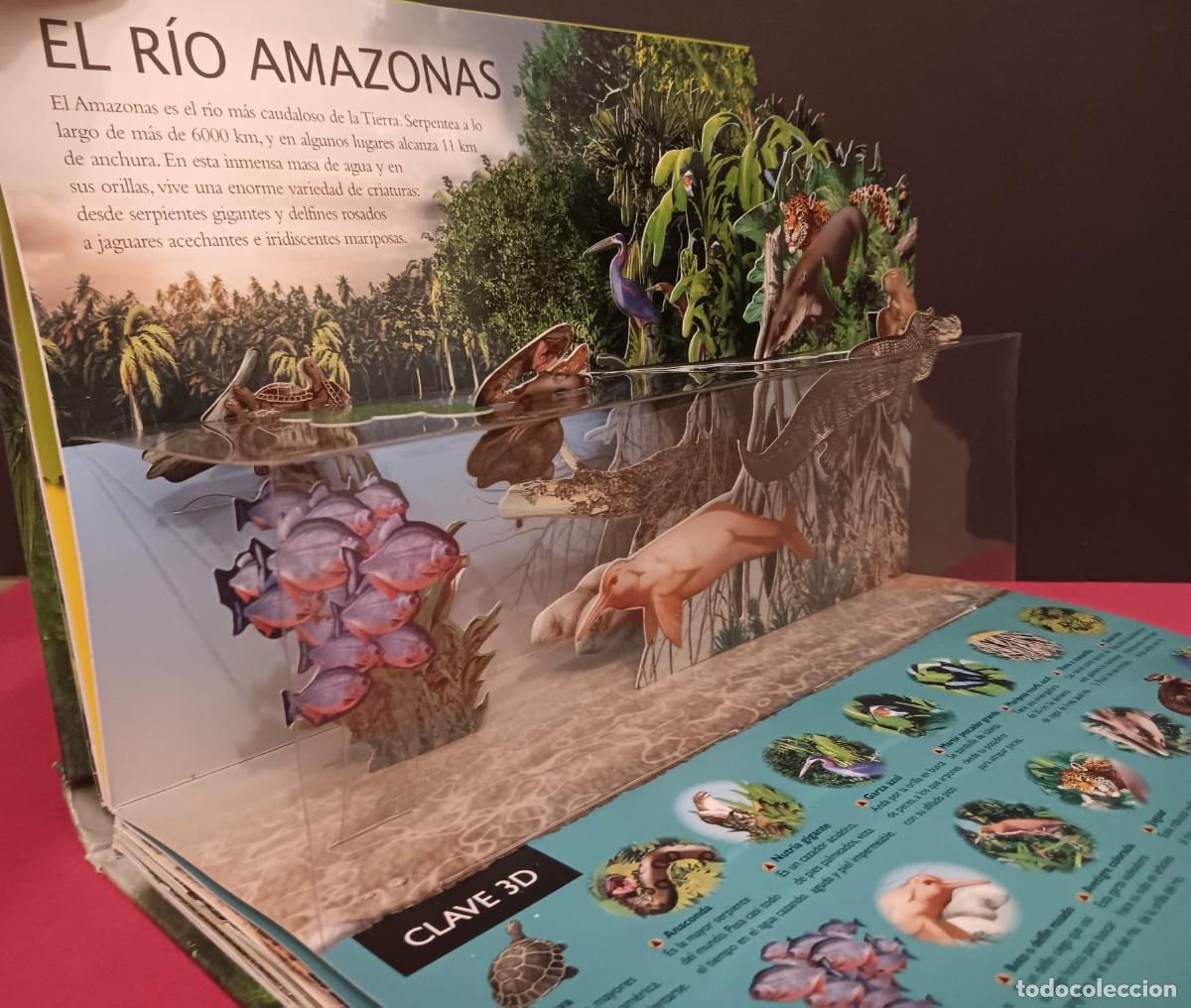 Libros de segunda mano: BONITO LIBRO PANORAMICO 3D CON DIORAMAS TITULO SELVAS - Foto 5