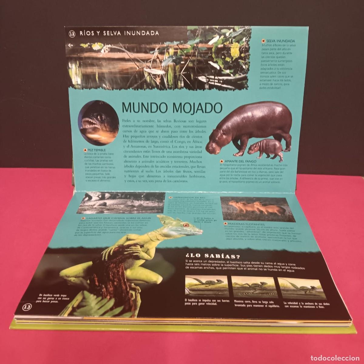 Libros de segunda mano: BONITO LIBRO PANORAMICO 3D CON DIORAMAS TITULO SELVAS - Foto 6