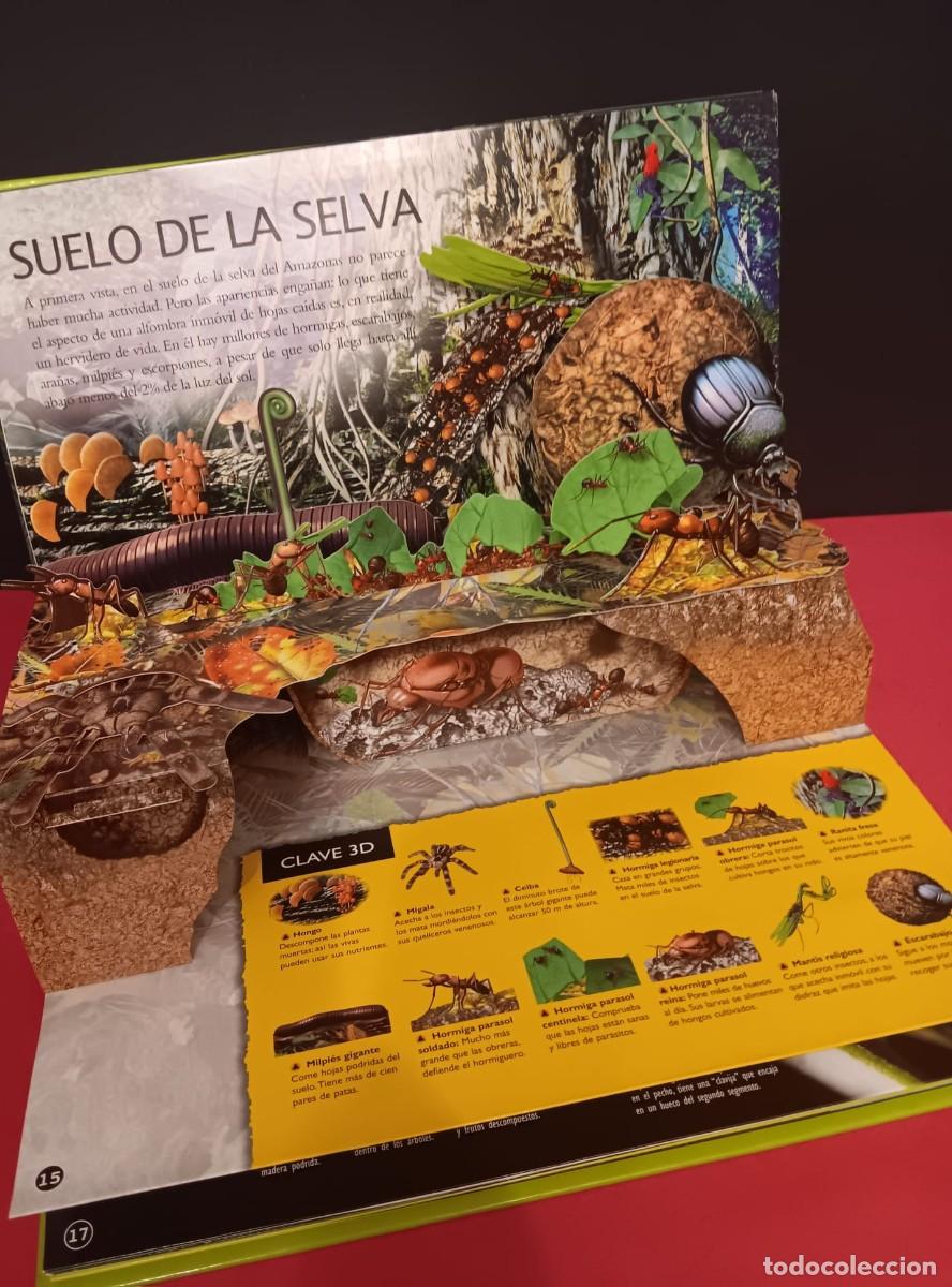 Libros de segunda mano: BONITO LIBRO PANORAMICO 3D CON DIORAMAS TITULO SELVAS - Foto 7