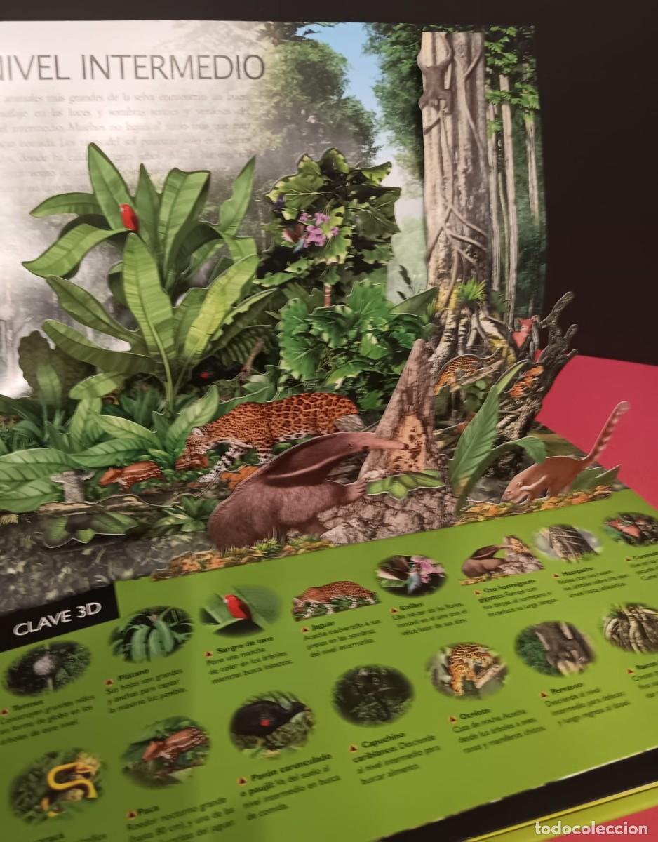 Libros de segunda mano: BONITO LIBRO PANORAMICO 3D CON DIORAMAS TITULO SELVAS - Foto 8