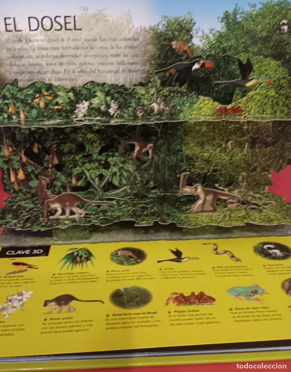 Libros de segunda mano: BONITO LIBRO PANORAMICO 3D CON DIORAMAS TITULO SELVAS - Foto 9