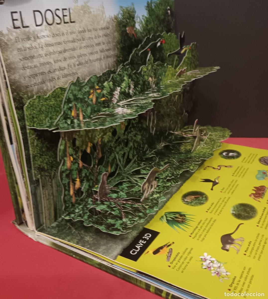 Libros de segunda mano: BONITO LIBRO PANORAMICO 3D CON DIORAMAS TITULO SELVAS - Foto 10