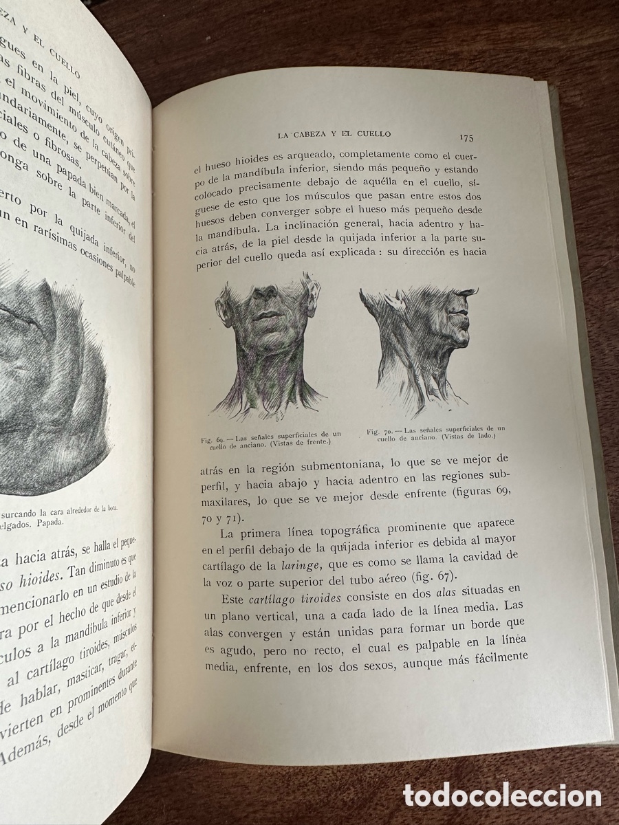 Libros de segunda mano: Anatom&iacute;a Art&iacute;stica Gustavo Gili 1945 - Foto 6
