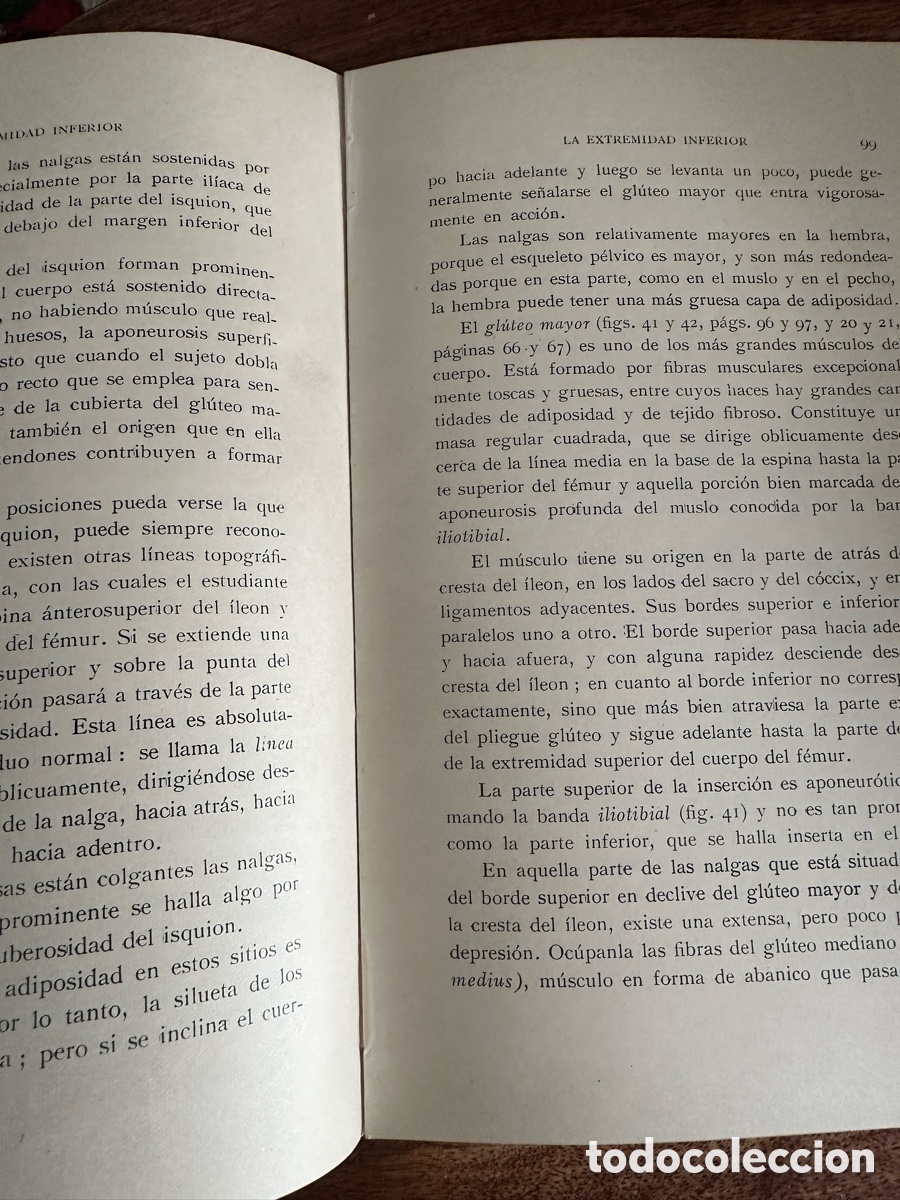 Libros de segunda mano: Anatom&iacute;a Art&iacute;stica Gustavo Gili 1945 - Foto 8