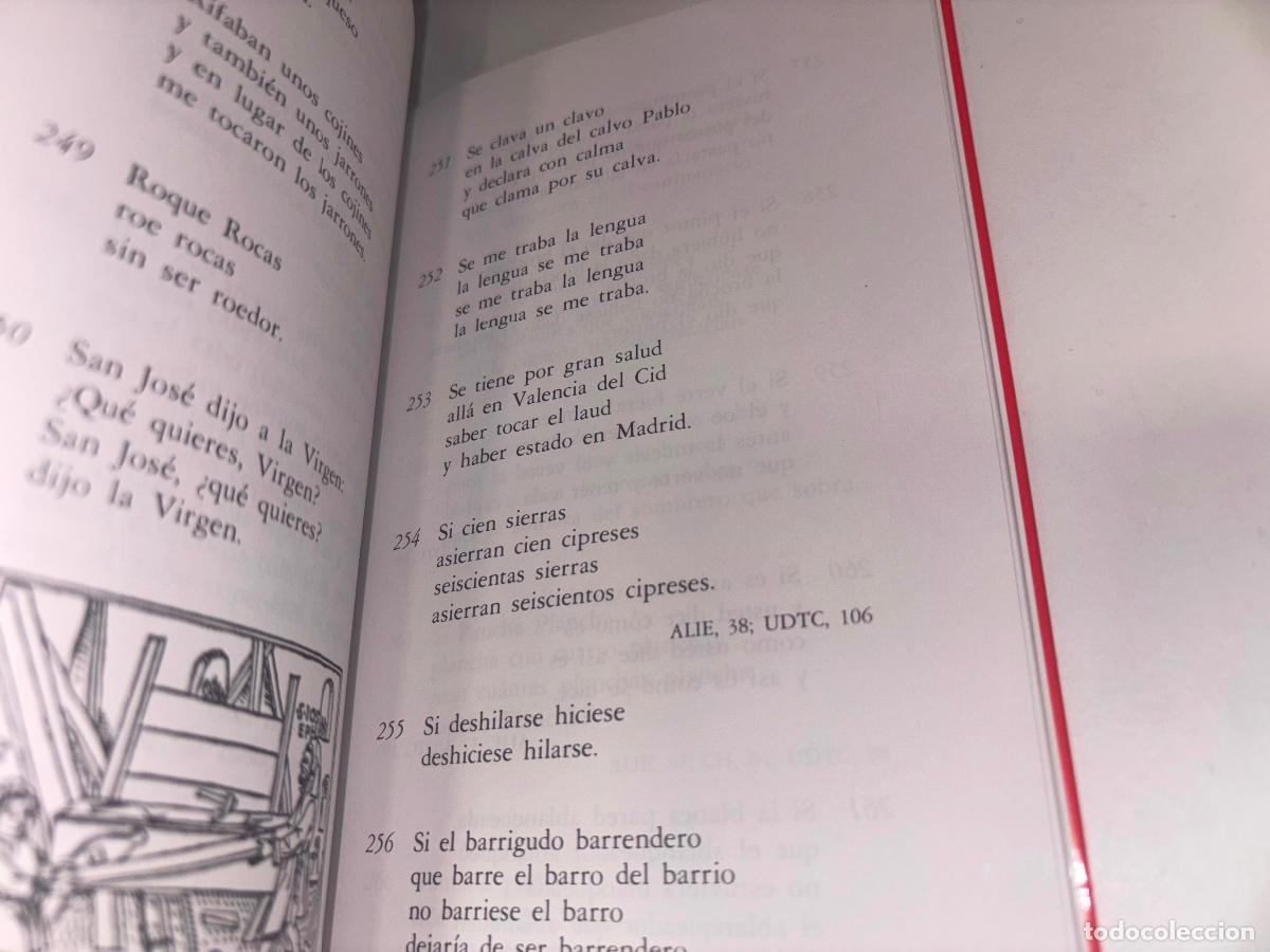 Libros de segunda mano: Trabalenguas de Castilla y Le&oacute;n Joaqu&iacute;n D&iacute;ez Modesto Mart&iacute;n 1985 - Foto 2