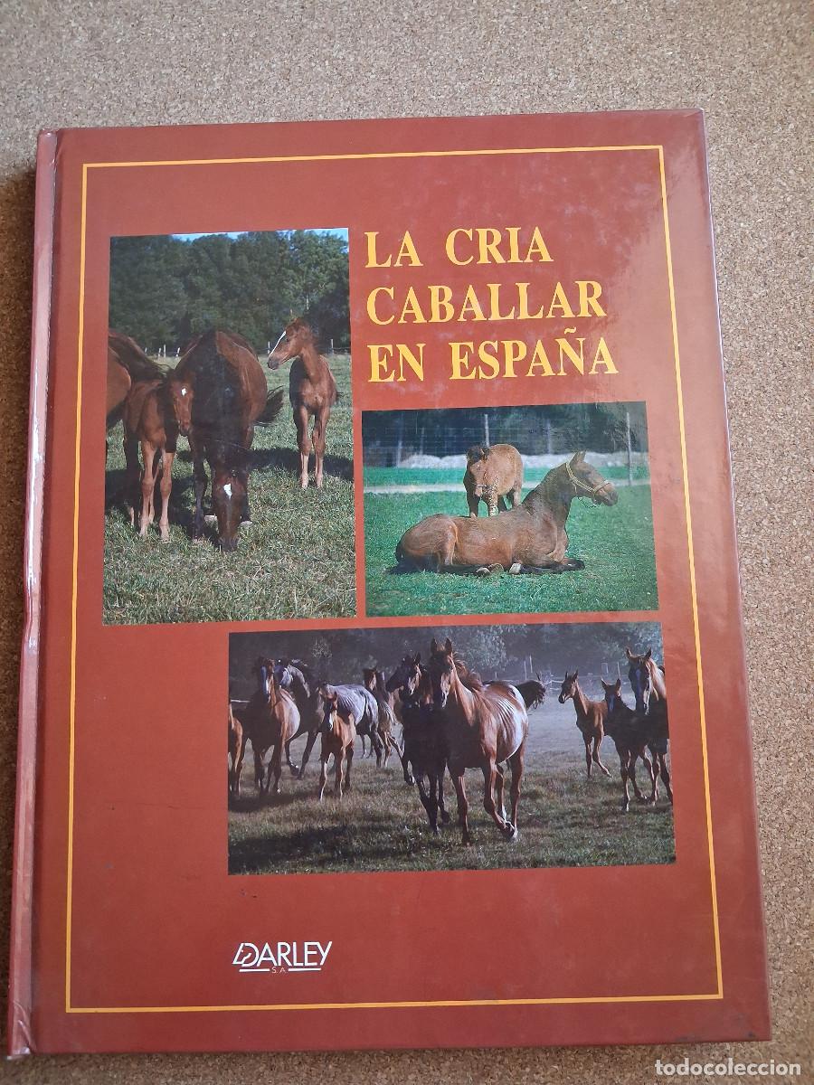 Libros de segunda mano: La cr&iacute;a caballar en Espa&ntilde;a. - Foto 1