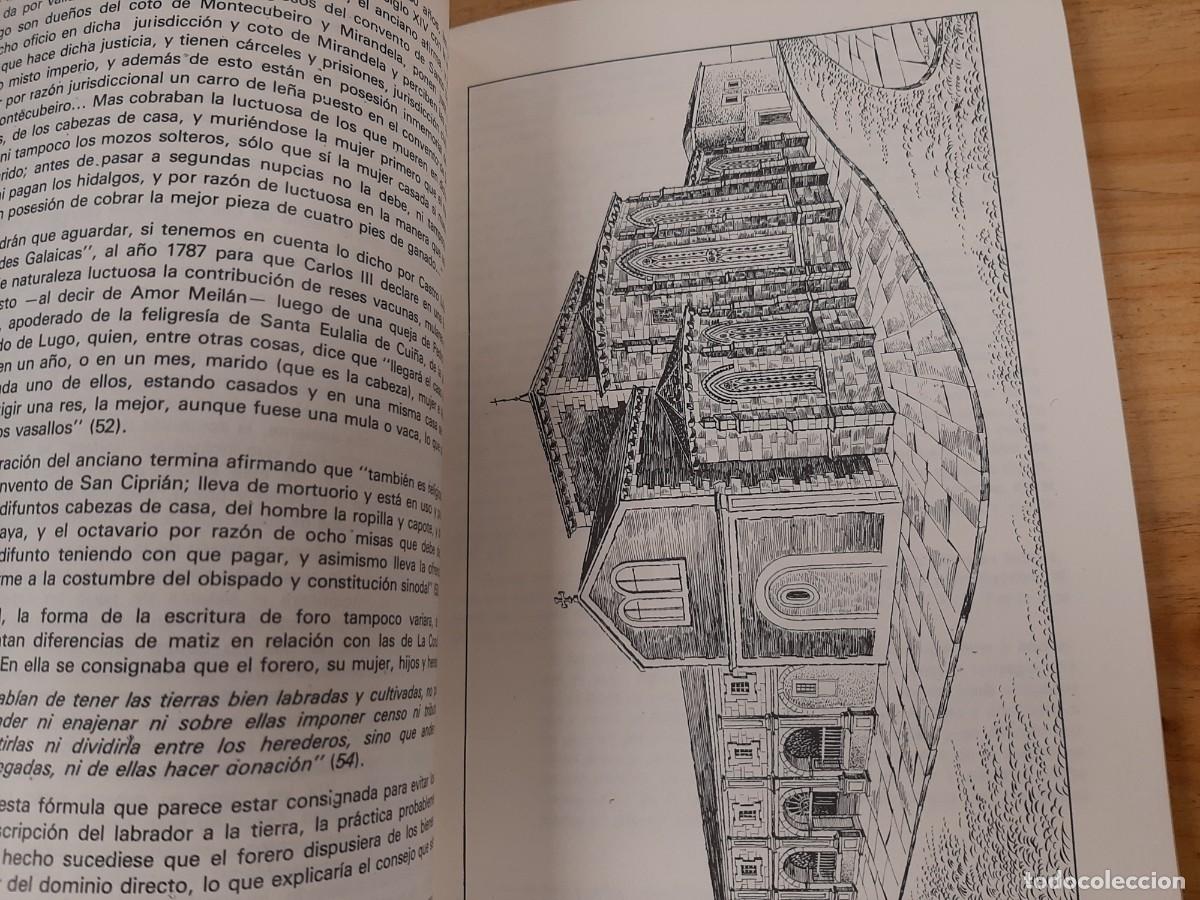 Libros de segunda mano: El campesino lucense y el se&ntilde;or&iacute;o eclesi&aacute;stico - LUIS RODRIGUEZ - 1977 - Foto 11