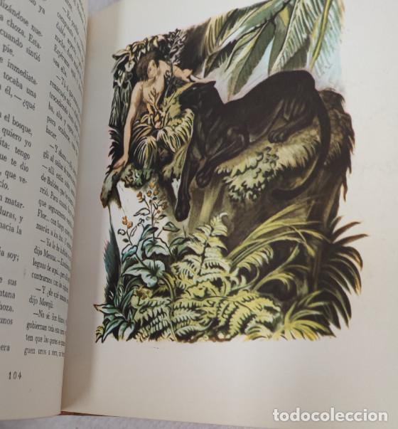 Libros de segunda mano: EL LIBRO DE LAS TIERRAS VIRGENES, RUDYARD KIPLING, GUSTAVO GILI 1969, LIBRO - Foto 11
