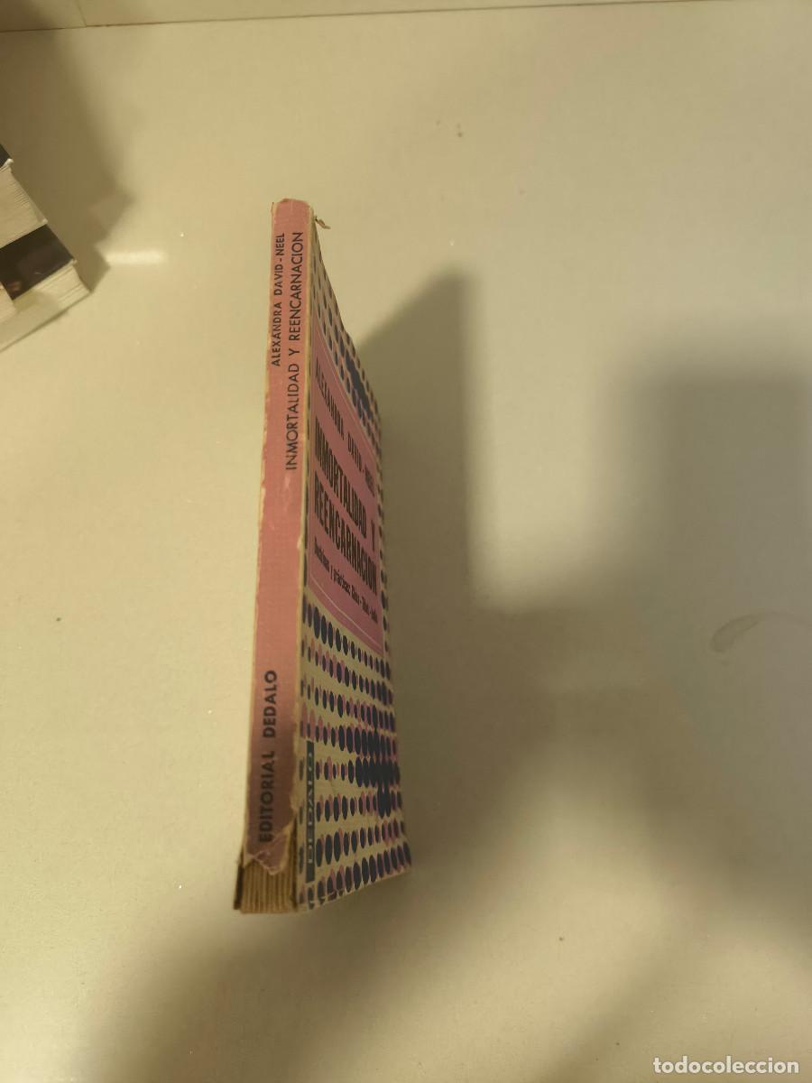 Libros de segunda mano: INMORTALIDAD Y REENCARNACI&Oacute;N .-ALEXANDRA DAVID -NEEL. - Foto 2