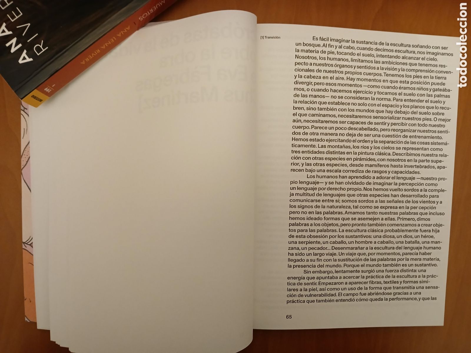 Libros de segunda mano: Eva F&aacute;bregas , Enredos. - Foto 10