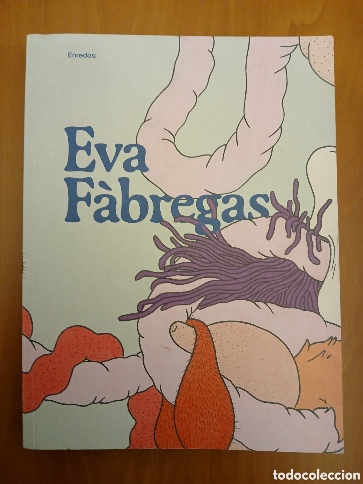 Libros de segunda mano: Eva F&aacute;bregas , Enredos. - Foto 1