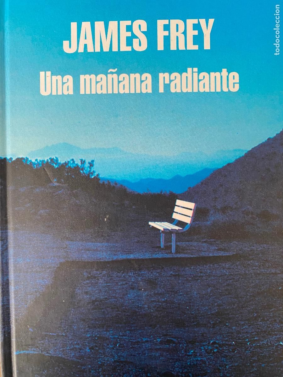 Libros de segunda mano: Una ma&ntilde;ana radiante. James Frey. - Foto 1