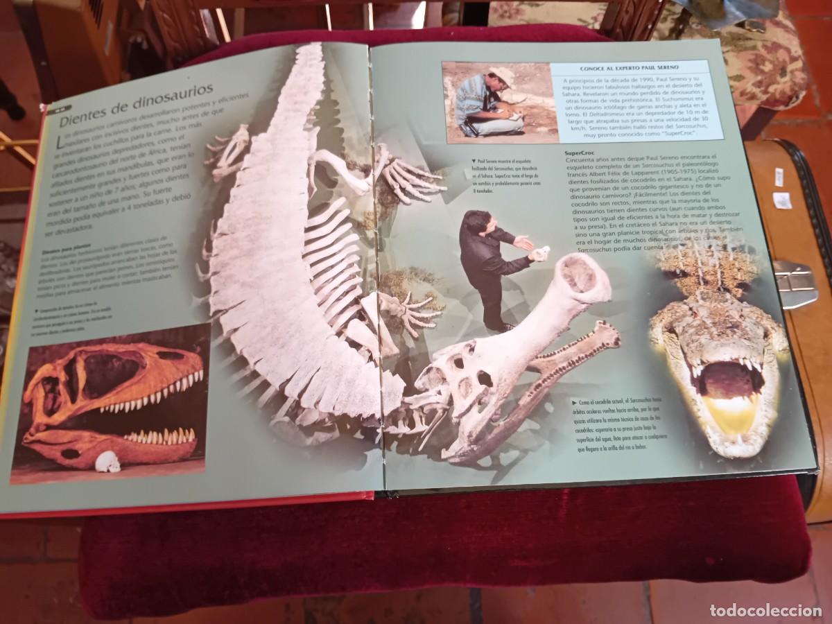 Libros de segunda mano: Dinosaurios por Nigel Marven - Foto 11