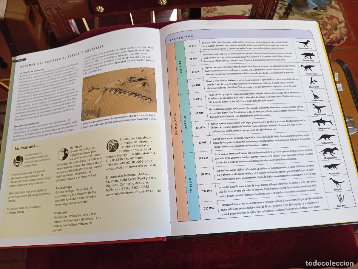 Libros de segunda mano: Dinosaurios por Nigel Marven - Foto 12