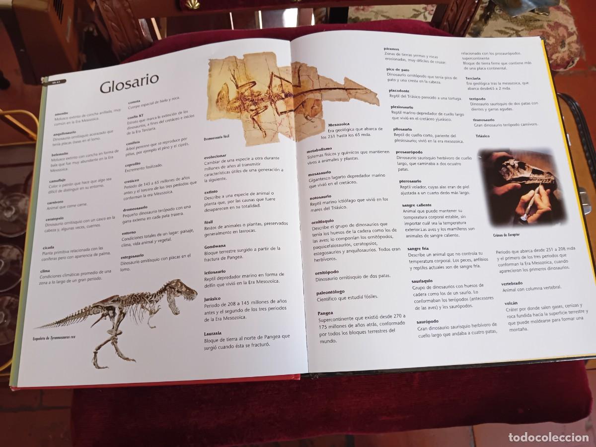 Libros de segunda mano: Dinosaurios por Nigel Marven - Foto 13