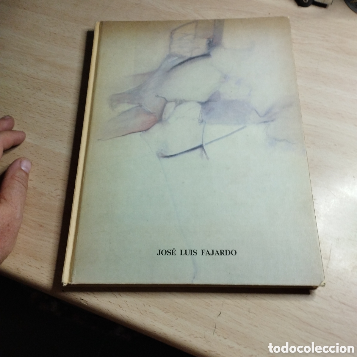 Libros de segunda mano: Jos&eacute; Luis Fajardo. Escultura y Pintura. 1984. Ministerio de Cultura