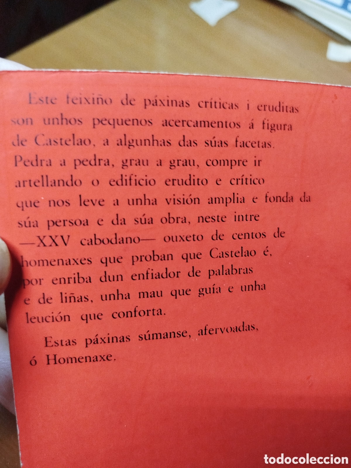Libros de segunda mano: Castelao. Alonso montero - Foto 3