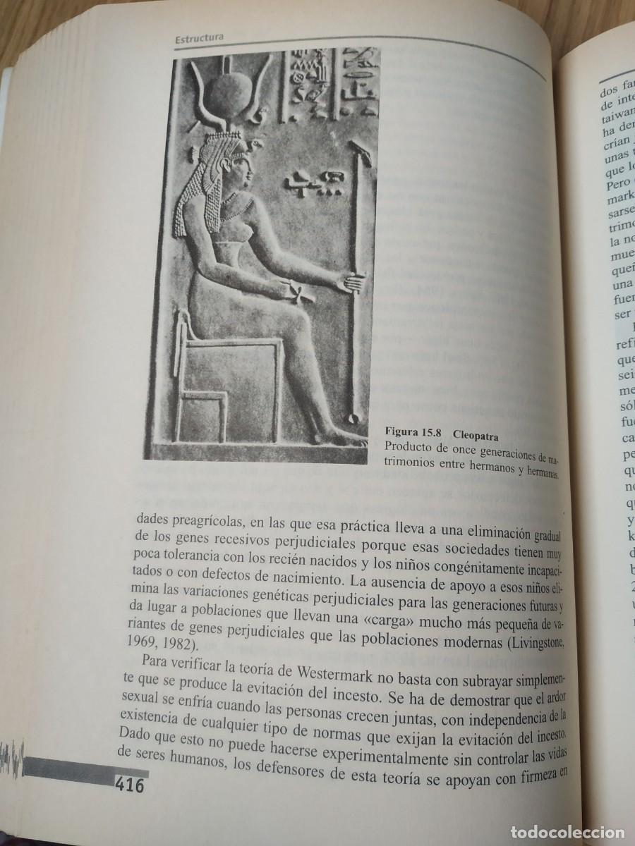 Libros de segunda mano: Introducci&oacute;n a la Antropolog&iacute;a General, Marvin Harris. Alianza Editorial. - Foto 10