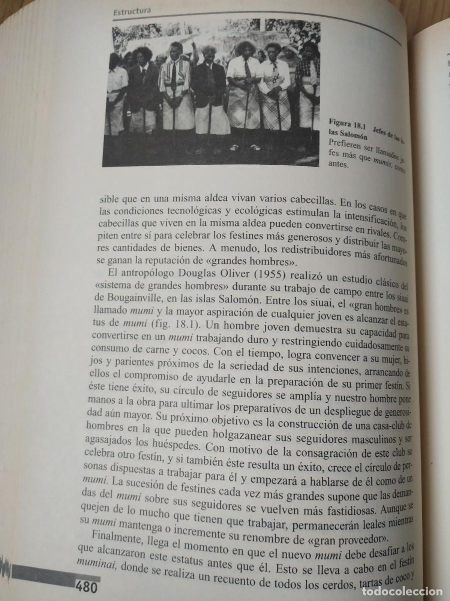 Libros de segunda mano: Introducci&oacute;n a la Antropolog&iacute;a General, Marvin Harris. Alianza Editorial. - Foto 13