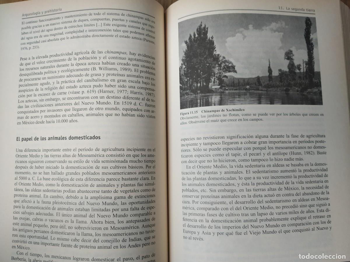 Libros de segunda mano: Introducci&oacute;n a la Antropolog&iacute;a General, Marvin Harris. Alianza Editorial. - Foto 15