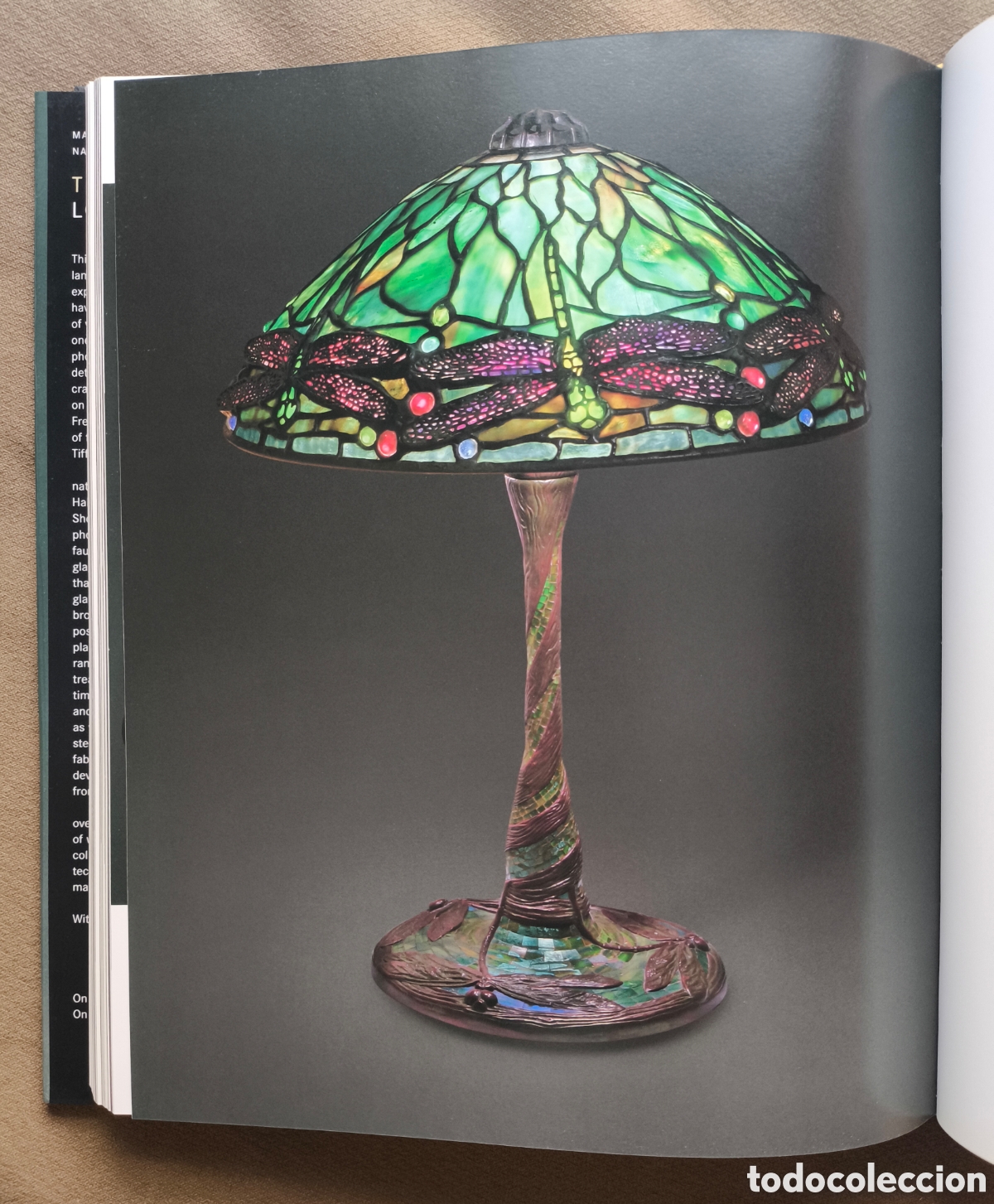 Libros de segunda mano: TIFFANY LAMP BOOK L&Aacute;MPARA LIBRO DESCATALOGADO - Foto 9