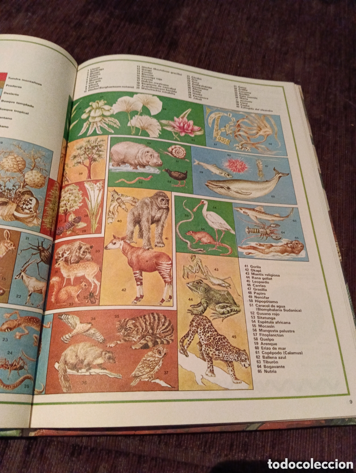 Libros de segunda mano: Libro Tu y la naturaleza - Foto 2
