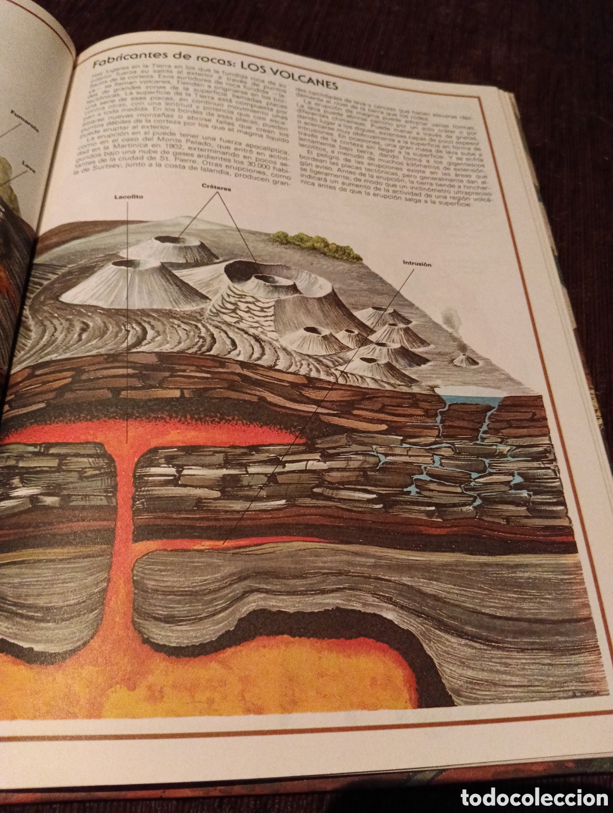 Libros de segunda mano: Libro Tu y la naturaleza - Foto 3