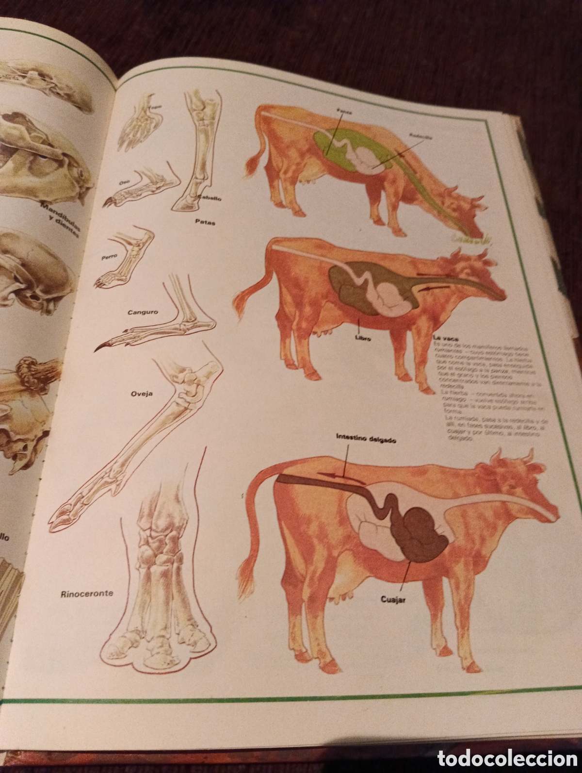 Libros de segunda mano: Libro Tu y la naturaleza - Foto 4