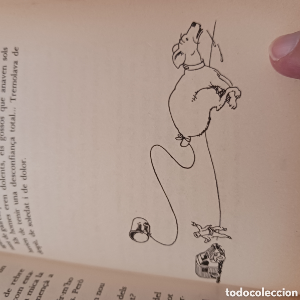 Libros de segunda mano: Rovello de Josep Vallverdu - Foto 9