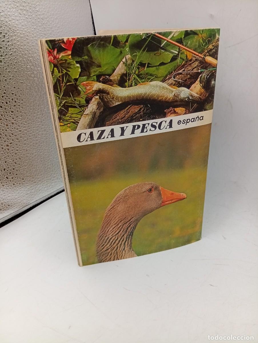 Libros de segunda mano: CAZA Y PESCA. ESPA&Ntilde;A. 1973. - Foto 3