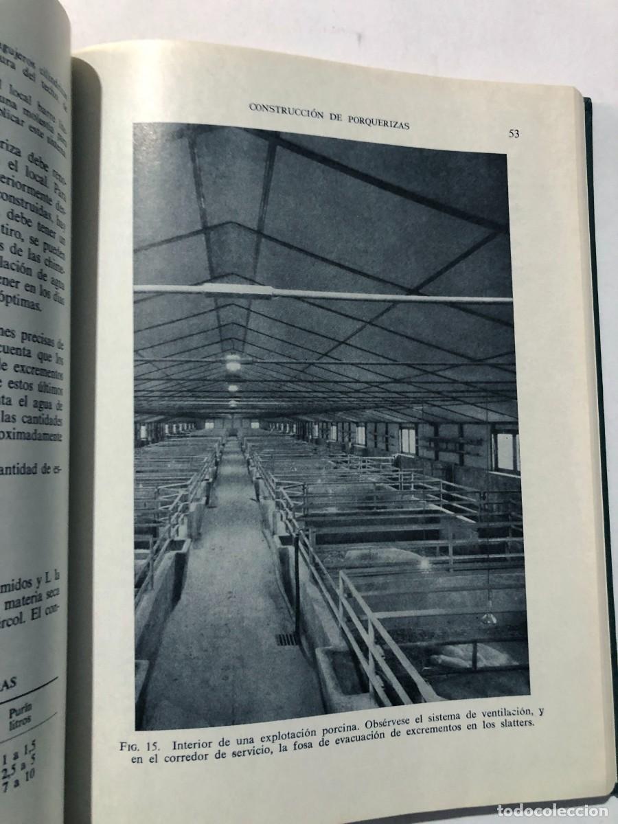 Libros de segunda mano: EL CERDO / ANDR&Eacute; M. LEROY / EDICIONES GEA 1968 - Foto 3