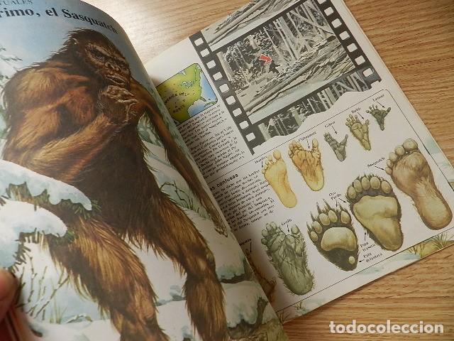Libros de segunda mano: Biblioteca de lo desconocido Todo sobre MONSTRUOS Ediciones Plesa SM - Foto 5