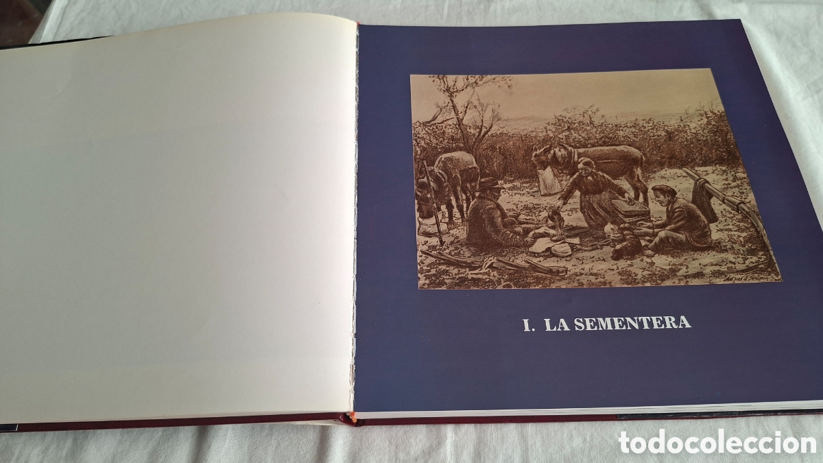 Libros de segunda mano: APEROS DE MADERA. Junta Castilla y Le&oacute;n 1991 - Foto 8