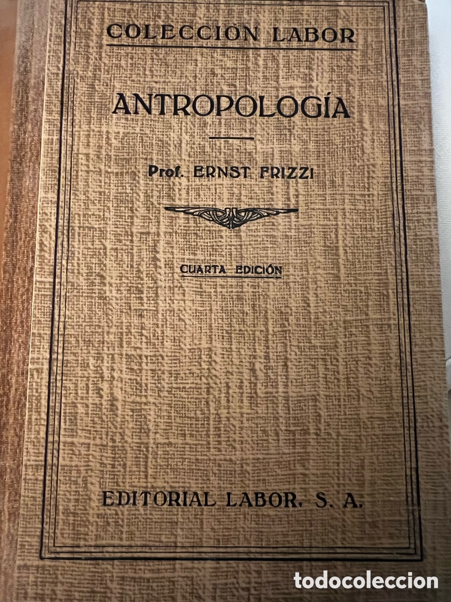 Libros de segunda mano: Antropolog&iacute;a. Prof. Frizzi. Ed. Labor . - Foto 3