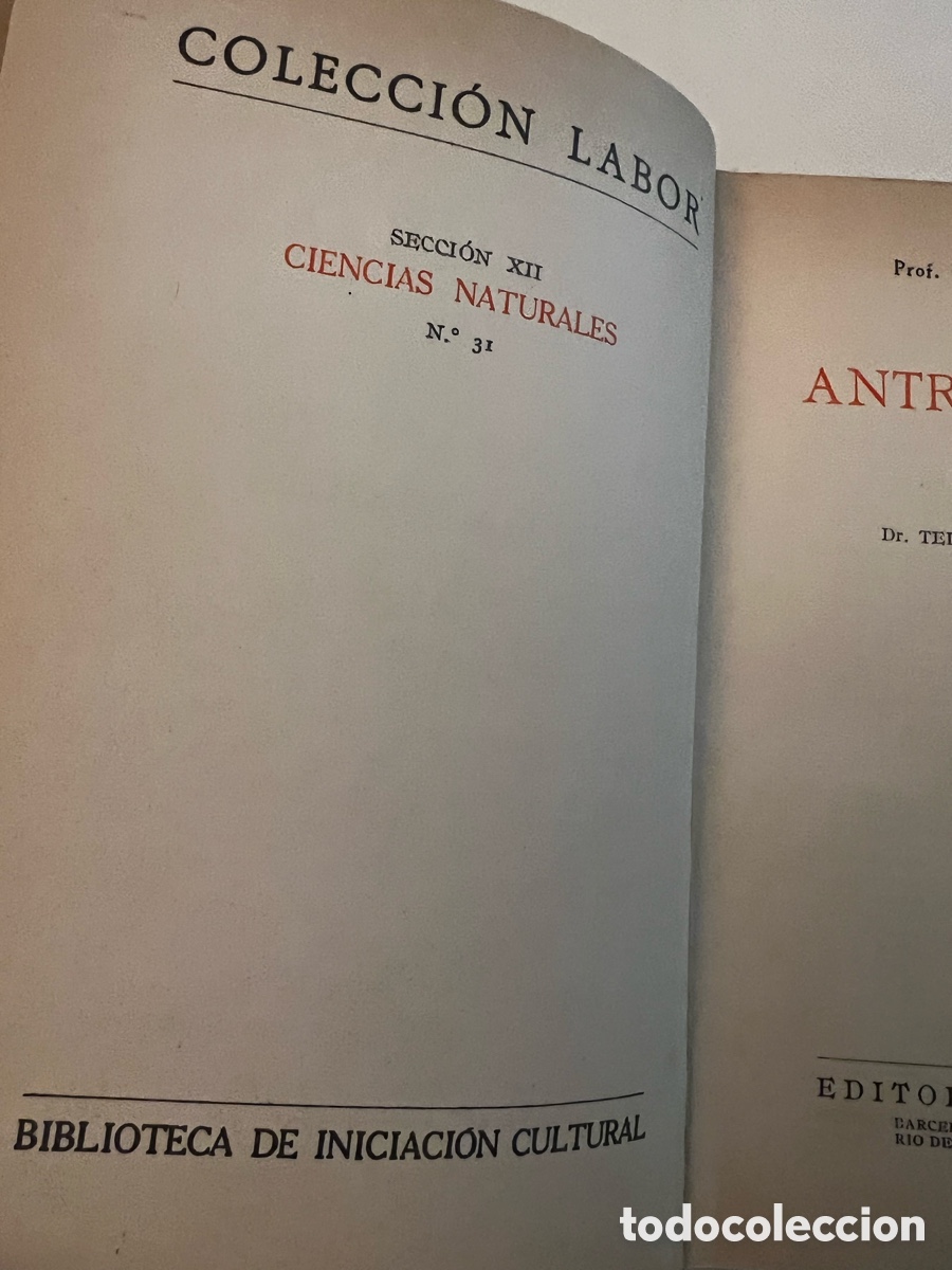 Libros de segunda mano: Antropolog&iacute;a. Prof. Frizzi. Ed. Labor . - Foto 4
