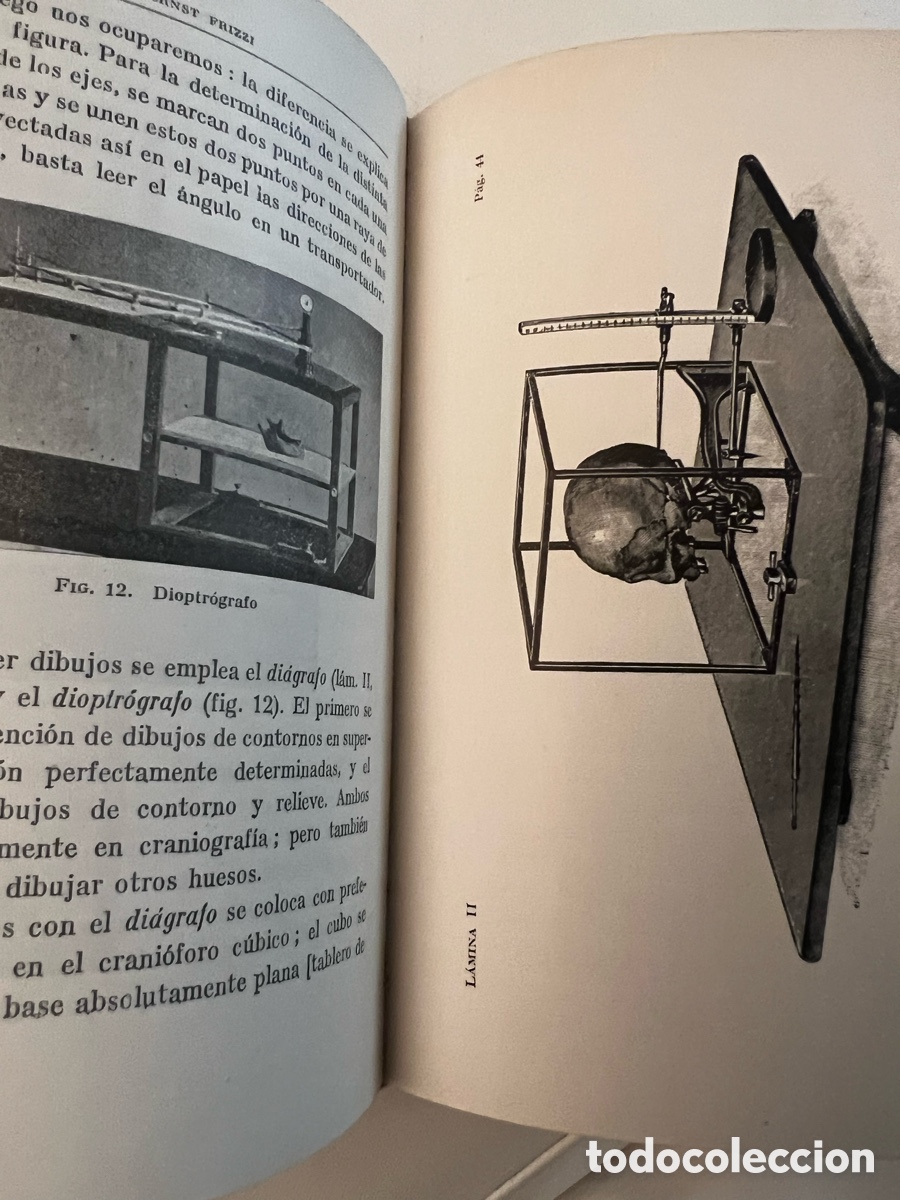 Libros de segunda mano: Antropolog&iacute;a. Prof. Frizzi. Ed. Labor . - Foto 7