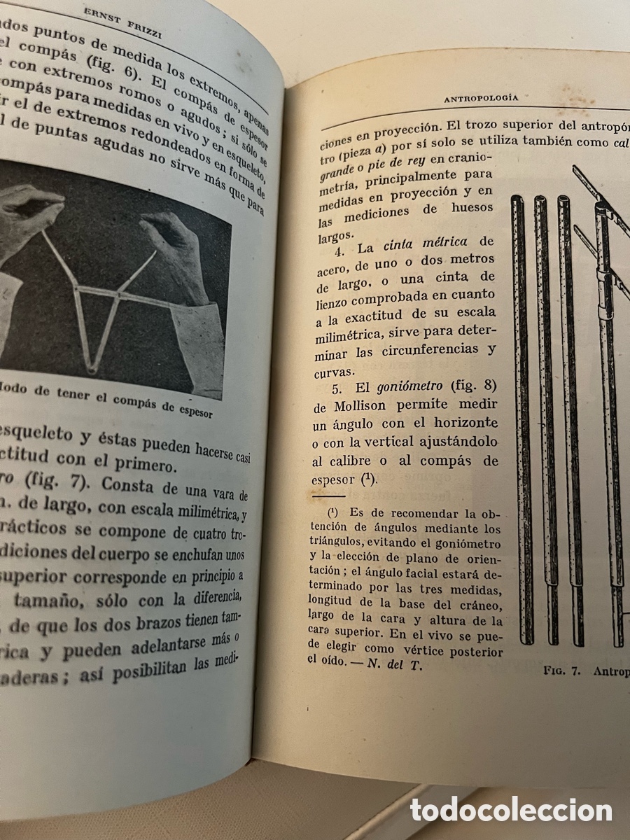 Libros de segunda mano: Antropolog&iacute;a. Prof. Frizzi. Ed. Labor . - Foto 8