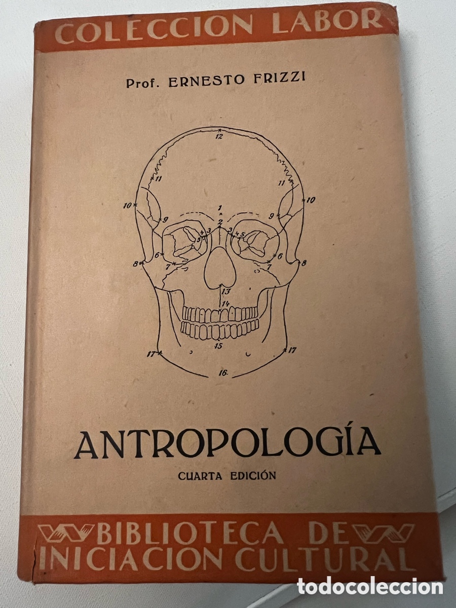 Libros de segunda mano: Antropolog&iacute;a. Prof. Frizzi. Ed. Labor . - Foto 1